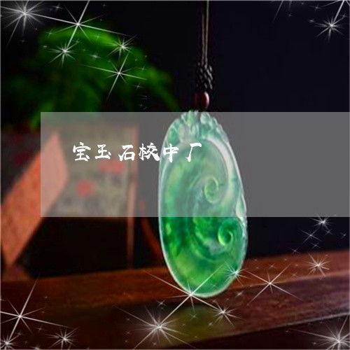 寶玉石校中廠 匠心育匠才——中級寶玉石課程的意義與實踐